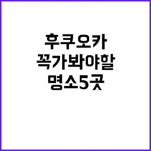 후쿠오카 여행, 꼭…