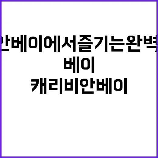 캐리비안베이에서 즐…