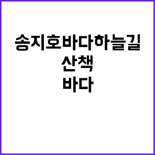 송지호 바다하늘길에…