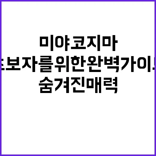 미야코지마의 숨겨진 매력, 초보자를 위한 완벽 가이드