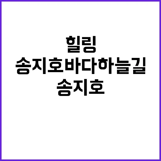 송지호 바다하늘길에…