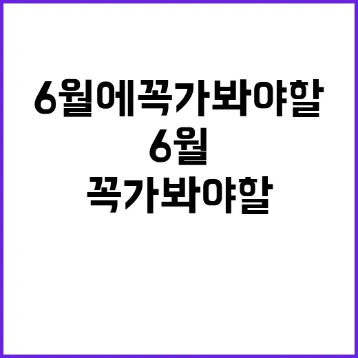 6월에 꼭 가봐야 …