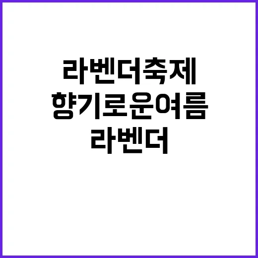 라벤더 축제, 향기…