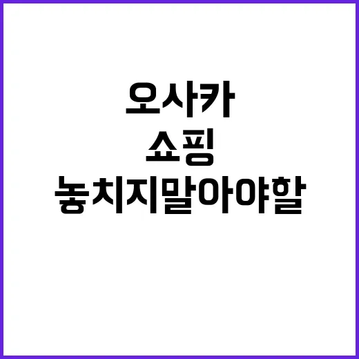 오사카에서 쇼핑하는…