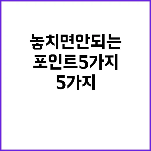 묵호에서 놓치면 안…