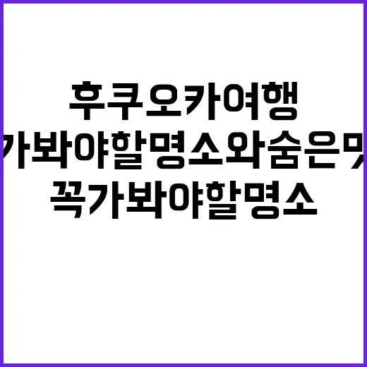 후쿠오카 여행: 꼭…