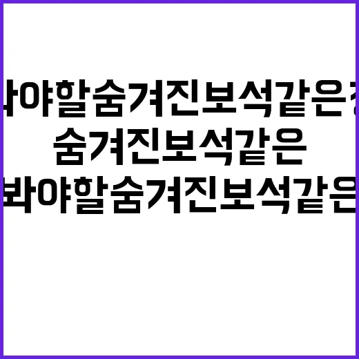 속초에서 꼭 가봐야…