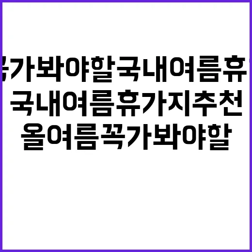 올여름 꼭 가봐야 …