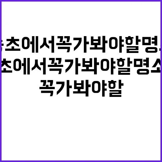 속초에서 꼭 가봐야 할 명소들, 이렇게 즐겨보세요! - 요약