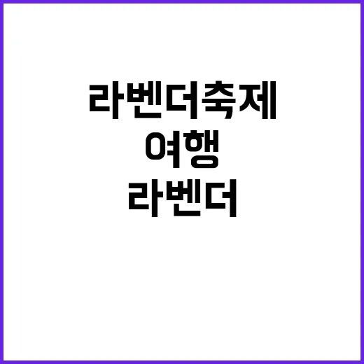 라벤더축제를 즐기는…