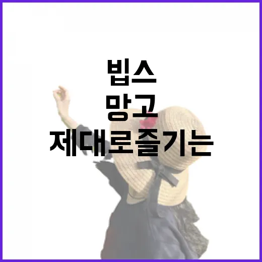 빕스에서 망고를 제대로 즐기는 방법 - 요약