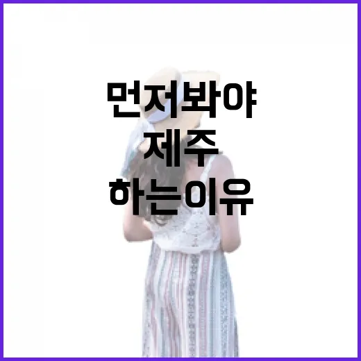 제주항공권 여러 번 끊어봤더니 숙소비보다 먼저 봐야 하는 이유 - 요약