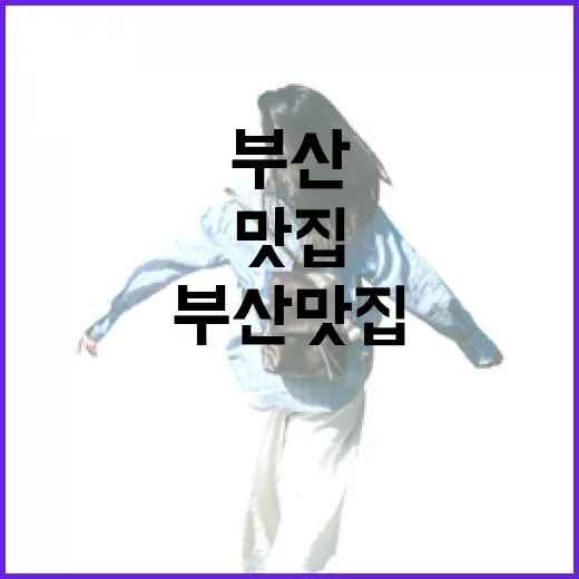 부산 숙소 100곳 넘게 다닌 사람이 직접 먹어보며 느낀 부산맛집의 진짜 이야기 - 요약