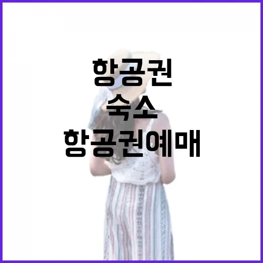 항공권예매 직접 여러 번 망해봤더니 숙소보다 먼저 봐야 할 게 있더라 - 요약
