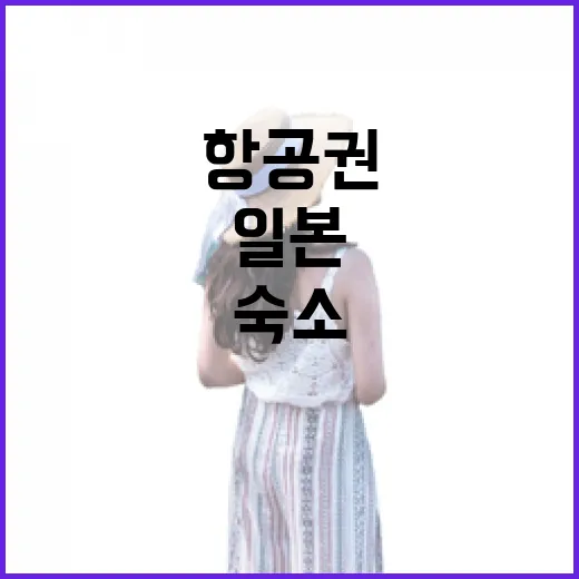 일본항공권 여러 번 끊어봤더니, 숙소보다 먼저 봐야 할 것들이 있었습니다 - 요약