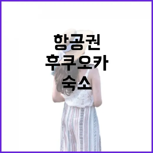 후쿠오카항공권 직접 끊어보니, 숙소보다 먼저 봐야 할 게 있더라 - 요약