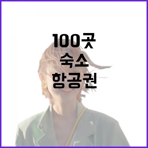 숙소 100곳 넘게 다니며 항공권예약까지 직접 해봤더니 보인 진짜 차이 - 요약