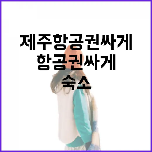 제주항공권 싸게 잡고 숙소까지 골라봤더니 보인 진짜 차이 - 요약
