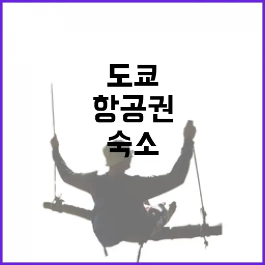 도쿄항공권 직접 여러 번 끊어봤더니, 숙소비보다 더 신경 써야 했던 것들 - 요약