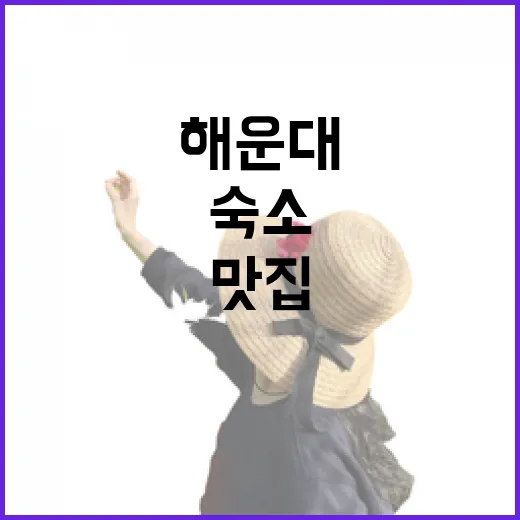 해운대맛집 숙소 100곳 넘게 묵으며 직접 걸어다녀본 진짜 이야기 - 요약