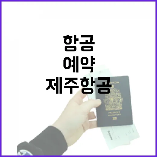 제주항공 타고 숙소 여행 다녀봤더니, 펜션 예약 전까지 생각보다 크게 갈린 것들 - 요약
