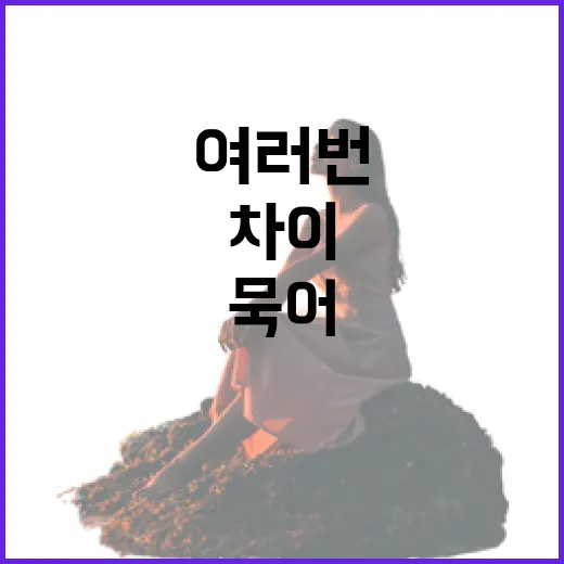 명동호텔 여러 번 묵어봤더니 보이던 진짜 차이 - 요약
