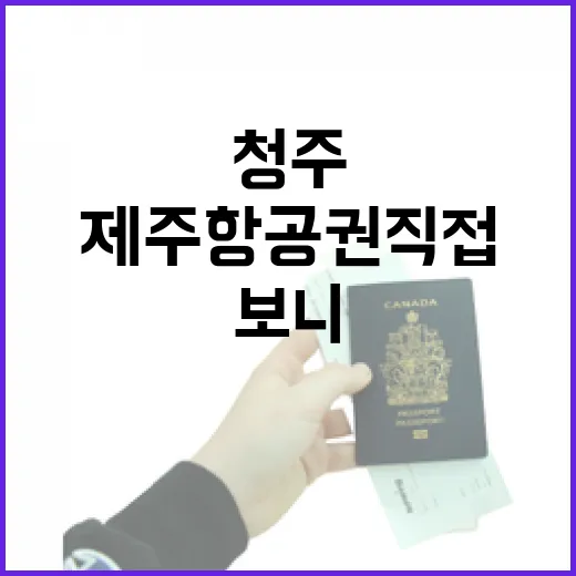 청주제주항공권 직접 끊어보니, 숙소보다 먼저 봐야 할 게 있더라 - 요약