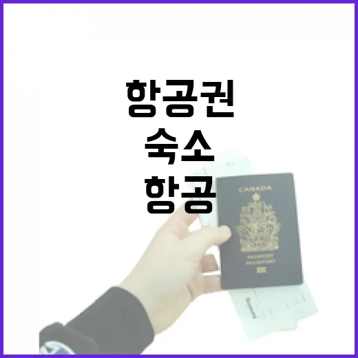TWAY항공 타고 숙소까지 가봤더니, 싼 항공권이 진짜 이득이 되는 순간 - 요약