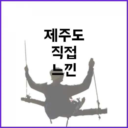 제주도항공 직접 여러 번 타보며 느낀 진짜 예약 이야기 - 요약