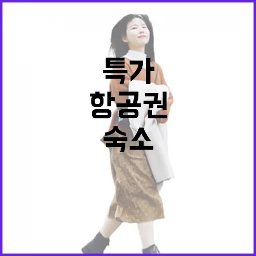 항공권특가만 믿고 숙소까지 잡아봤더니 생긴 진짜 이야기 - 요약