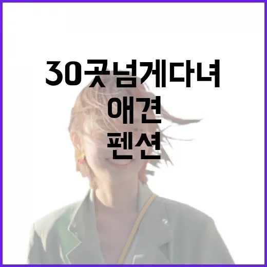 애견펜션 30곳 넘게 다녀봤더니 사진보다 먼저 봐야 할 것들 - 요약