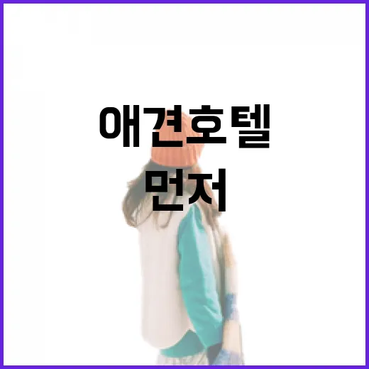 애견호텔 12곳 직접 맡겨봤더니 사진보다 먼저 봐야 할 것들 - 요약