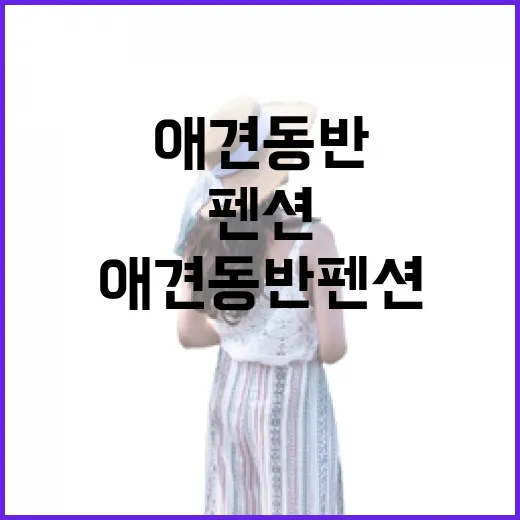 애견동반펜션 30곳 넘게 다녀봤더니, 사진보다 먼저 봐야 할 것들 - 요약