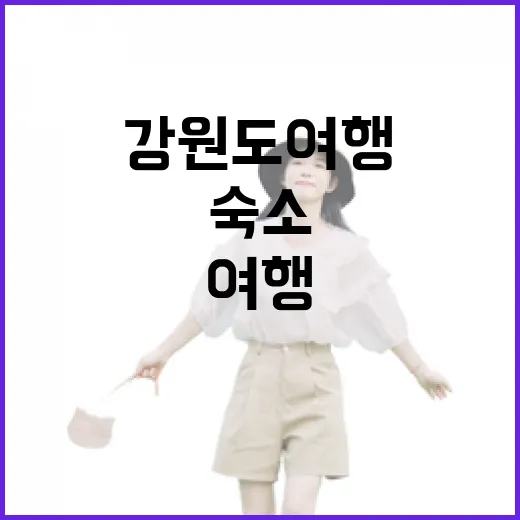강원도여행 숙소 100곳 넘게 다녀보니 보이던 진짜 차이 - 요약