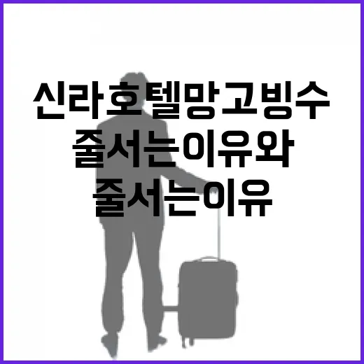 신라호텔 망고빙수 먹어봤더니, 비싼데도 줄 서는 이유와 아쉬운 점 - 요약