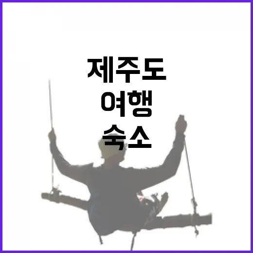 제주도패키지여행 직접 따라가 봤더니 숙소에서 차이가 확 느껴졌다 - 요약