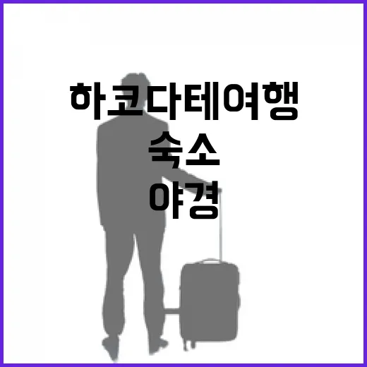 하코다테여행 숙소 잡아봤더니, 야경보다 더 신경 쓰였던 것들 - 요약