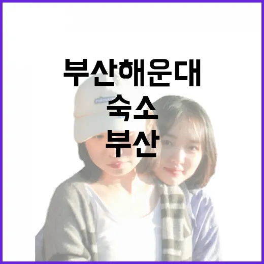 부산 해운대 맛집, 숙소 리뷰어가 직접 다니며 느낀 진짜 이야기 - 요약