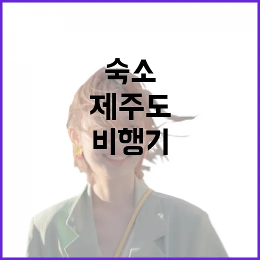 제주도비행기 여러 번 타고 숙소까지 잡아봤더니 알게 된 진짜 변수 - 요약