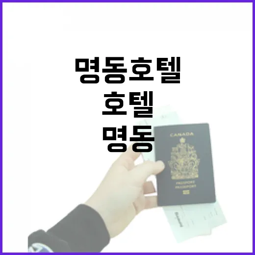 명동호텔 여러 번 묵어봤더니, 사진보다 먼저 봐야 할 것들이 있었습니다 - 요약
