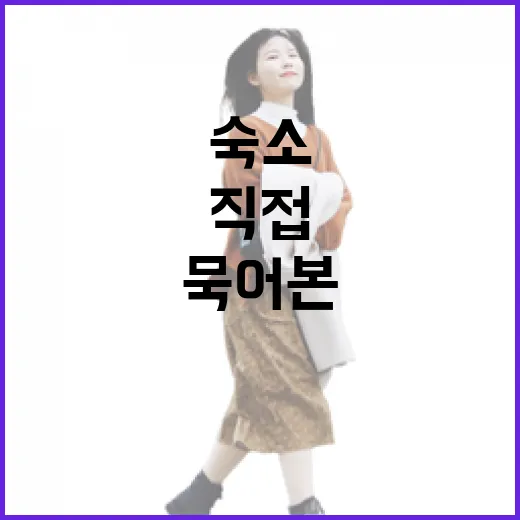 신혼여행 숙소 100곳 넘게 묵어본 사람이 직접 겪고 고르는 진짜 기준 - 요약