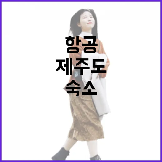 제주도항공 시간대 바꿔봤더니 숙소 만족도가 달라졌던 이야기 - 요약