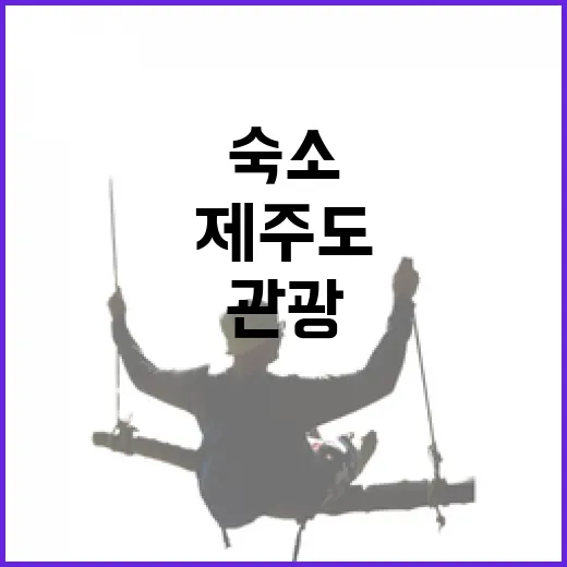 제주도관광만 보고 숙소 잡았다가 배운 것들, 100곳 넘게 묵어본 리뷰어의 진짜 이야기 - 요약