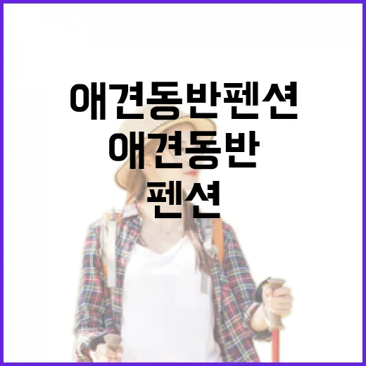 애견동반펜션 30곳 넘게 가봤더니 사진보다 먼저 봐야 할 게 있더라 - 요약