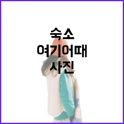 여기어때로 숙소 100곳 넘게 잡아봤더니 사진보다 먼저 보게 된 것들 - 요약