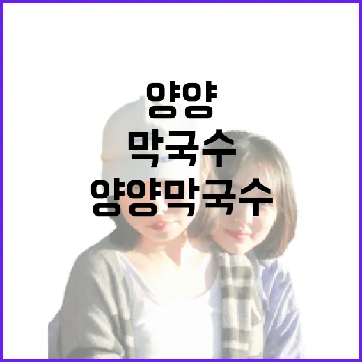 양양 막국수, 숙소 리뷰하러 다니다가 직접 먹어보니 보이던 진짜 차이 - 요약