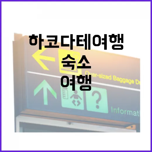 하코다테여행 직접 다녀와보니, 숙소 위치가 일정의 절반을 좌우하더라 - 요약