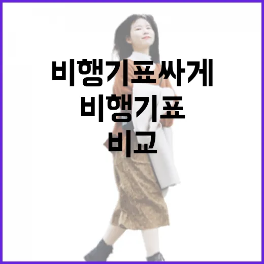 비행기표 싸게 사려고 20번 넘게 비교해봤더니 숙소값까지 달라졌다 - 요약