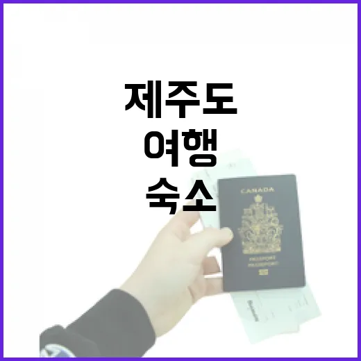 제주도패키지여행 직접 골라보니, 싼 상품보다 숙소 위치가 더 중요했다 - 요약