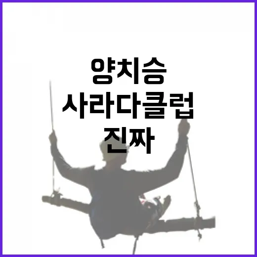 양치승 사라다클럽 찾아보다 숙소 고르는 눈으로 따져본 진짜 이야기 - 요약